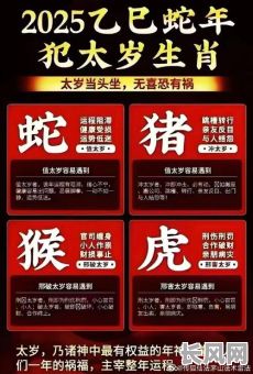 2025年揭秘:吉日克木所属公司大揭秘