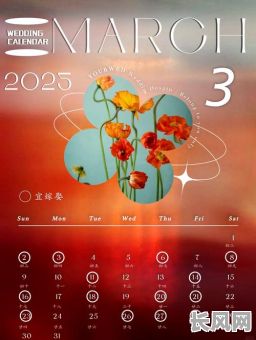 2025年27日:揭秘此日哪些平台为吉日,助你把握最佳运营时机