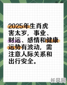 2025年虎年大吉日历使用指南:全面优化版