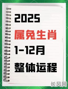 2025年属兔人腊月宜宅吉日精选，打造温馨家居氛围