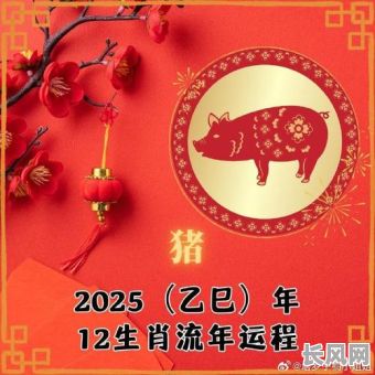 2025年壬寅年生肖猪专属结婚吉日精选，幸福启航的良辰吉日指南