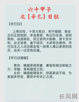 巳时八字命理解析详解,如何深入理解其奥秘?