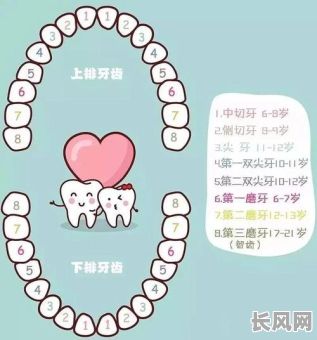 命理八字看牙齿准不准?准确性如何评估?