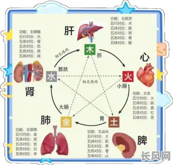 八字命理中缺金木的人应该怎样进行补充?如何调理八字命理中的金木不足?