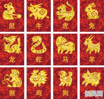 属鼠女的命格究竟属于哪个属相?
