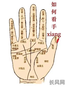 手相五条线究竟代表着怎样的命格?是吉是凶?