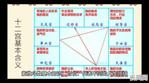 命理学中紫薇命格究竟代表什么?有何特殊含义?