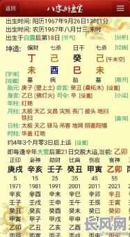 己酉丁酉八字命理详解,如何深入理解其奥秘与精髓?