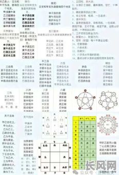 八字四柱究竟是通过组合分析还是命格判断更为准确?