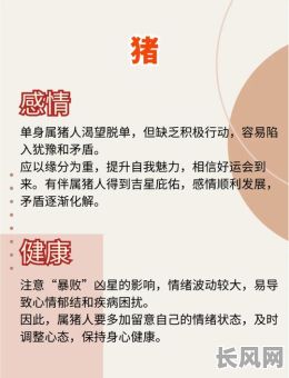 属猪九月男性命格究竟如何?他的命运特点有哪些?