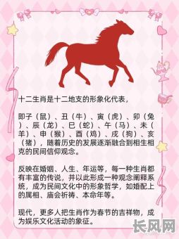 生肖马八字命局详解大全,如何全面解读?
