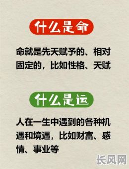1988年8月11日命格究竟有何特殊?揭秘这一日子的命运奥秘
