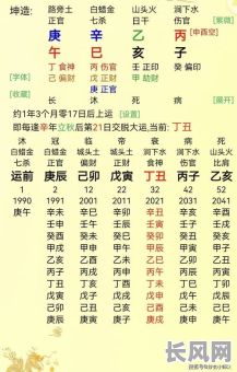 壬寅日柱八字命理解析:如何准确解读我的命理运势?