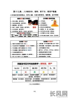 甲午丙午八字命理分析详解,如何深入理解其奥秘?