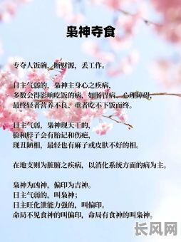 命格中带枭事究竟是什么意思?