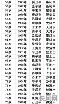 己亥年纳音五行属什么？具体是哪一种五行？