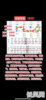 八字命格中无食神而独有伤官,这是否影响命运走向?