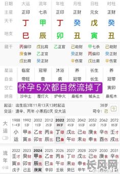 双丑入命的八字具体是怎样的?包含哪些要素?