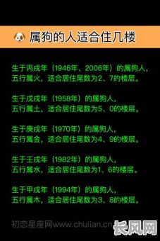 属狗的人究竟拥有哪种命格,命运才会格外美好?
