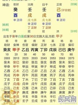 1993年腊月初一命格究竟有何特点?其命运走向如何?