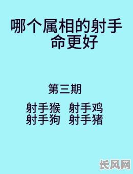 2004年属猴射手座命格:这一年出生的射手座有何独特命格特点?