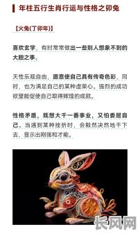 木兔命格的特征有哪些?具体表现是什么呢?