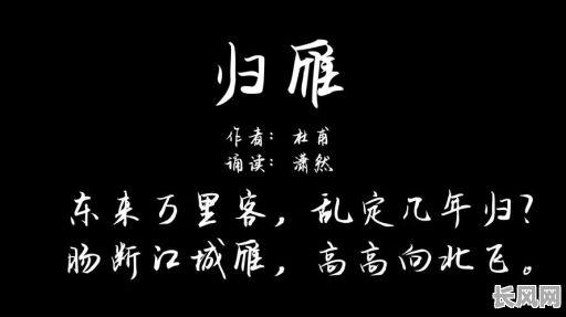 雁过寒江格的命真的有出路吗?这命运能否找到转机?