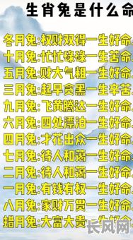 属兔女的八字命理究竟有何特点?如何解读?