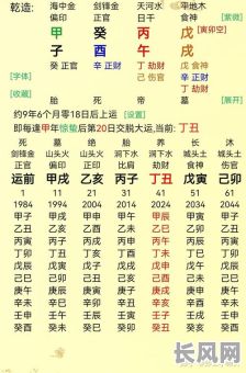 丙午八字命例解析详解大全,如何全面掌握?