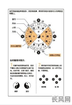 如何准确算命查八字命局?详细步骤是哪些?