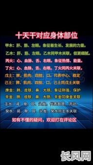 八字师傅谈命理怎么看?如何准确解读八字命理?