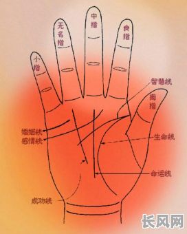 手相详细说明,哪些命格的人命运较好?