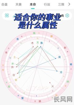 事业与名气相关的命格具体有哪些?它们之间有何关联?