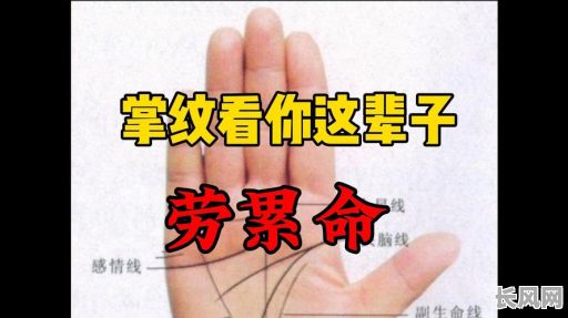 不同的手掌有不同的命格,为何每个人的命格都不一样?