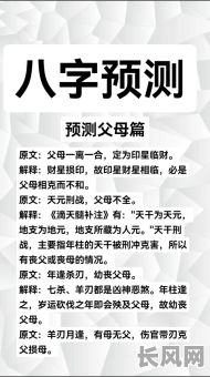 焦俊艳八字命理解析大全,有哪些关键点值得深入探讨?
