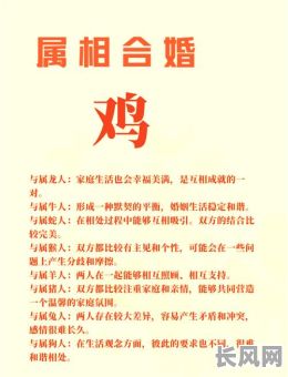 属鸡是哪一年出生的男人命格特点有哪些?
