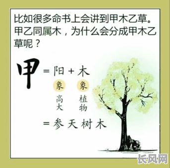 八字木命的人适合出国吗?出国对八字木命的人有影响吗?