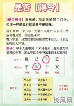 命不合八字合怎么办?如何调整以改善关系?