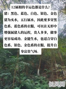 猪年命格属性有哪些,女性命格特点具体是什么呢?