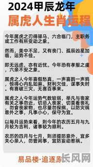 虎年二月八字命理分析，如何解读我的运势？