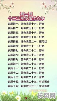 自己看不了自己的命格,为何无法洞察命运之谜?