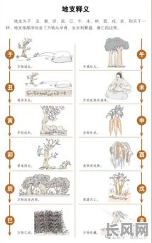 如何快速入门新手学八字命理课程?适合初学者的八字命理课程推荐?