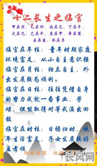 女命八字中真的会有两个禄神吗?这两个禄神对命运有何影响?