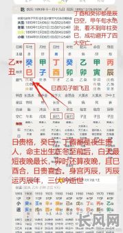 如何通过八字分析丁酉日出生的男性命运特点?