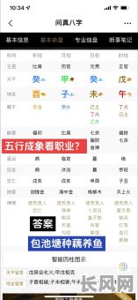八字如何通过看职业来解读命理?