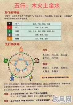 八字命理基础中五行指的是什么？八字命理的基础五行具体是什么？