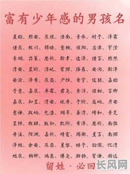 最特殊的命格名字男孩,有哪些独特的选择?