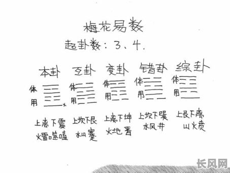 八字梅花命格详解:如何深入理解八字梅花命格的奥秘?