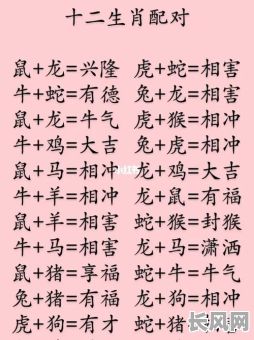 男命八字喜合究竟对应哪些生肖?代表什么含义?