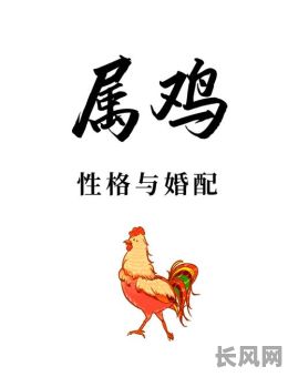 属小鸡的人的命格是怎样的?他们的命运特点有哪些?